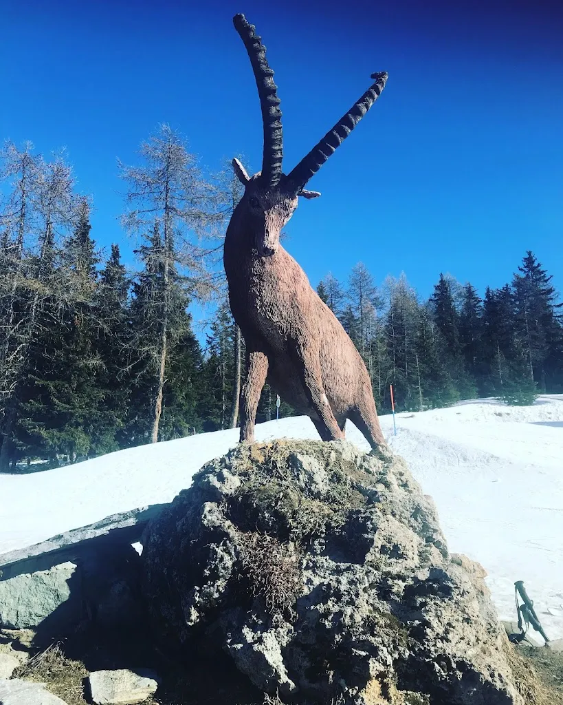 Ilves_Alpe Gorzà_Mongnod_review