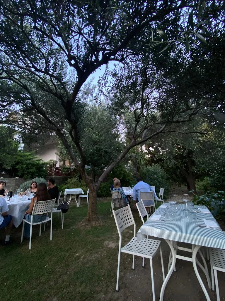 Giovanni Colli Vignarelli_Cantina & Agriturismo Turco_Quiliano_review