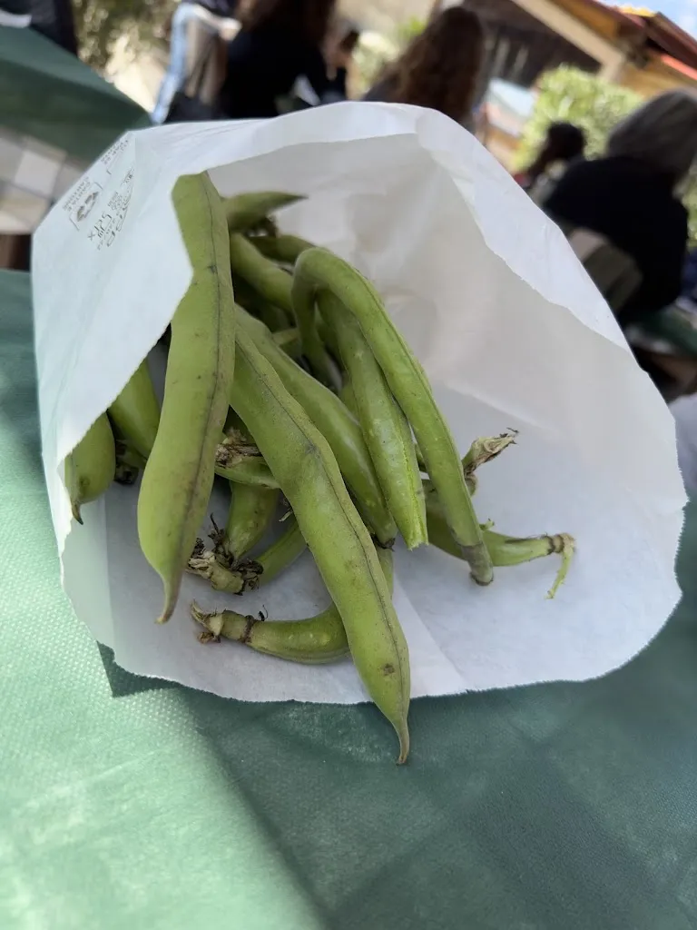 Menu_Agriturismo le quattro stagioni_Santo Stefano di Magra_image_5