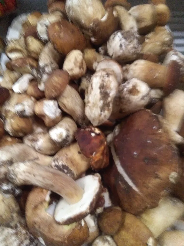 Menu_Bar Ristorante Izzo Vincenzo_Santo Stefano di Magra_image_3