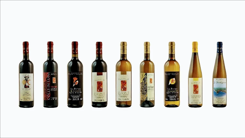 La Cantina del Nonno Pescetto nei Colli di Luni_Santo Stefano di Magra_slider_image_2