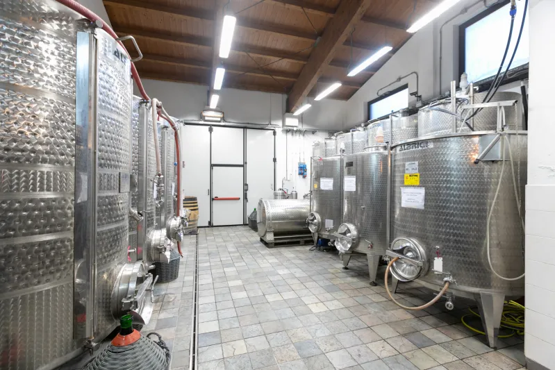 La Cantina del Nonno Pescetto nei Colli di Luni_Santo Stefano di Magra_slider_image_3