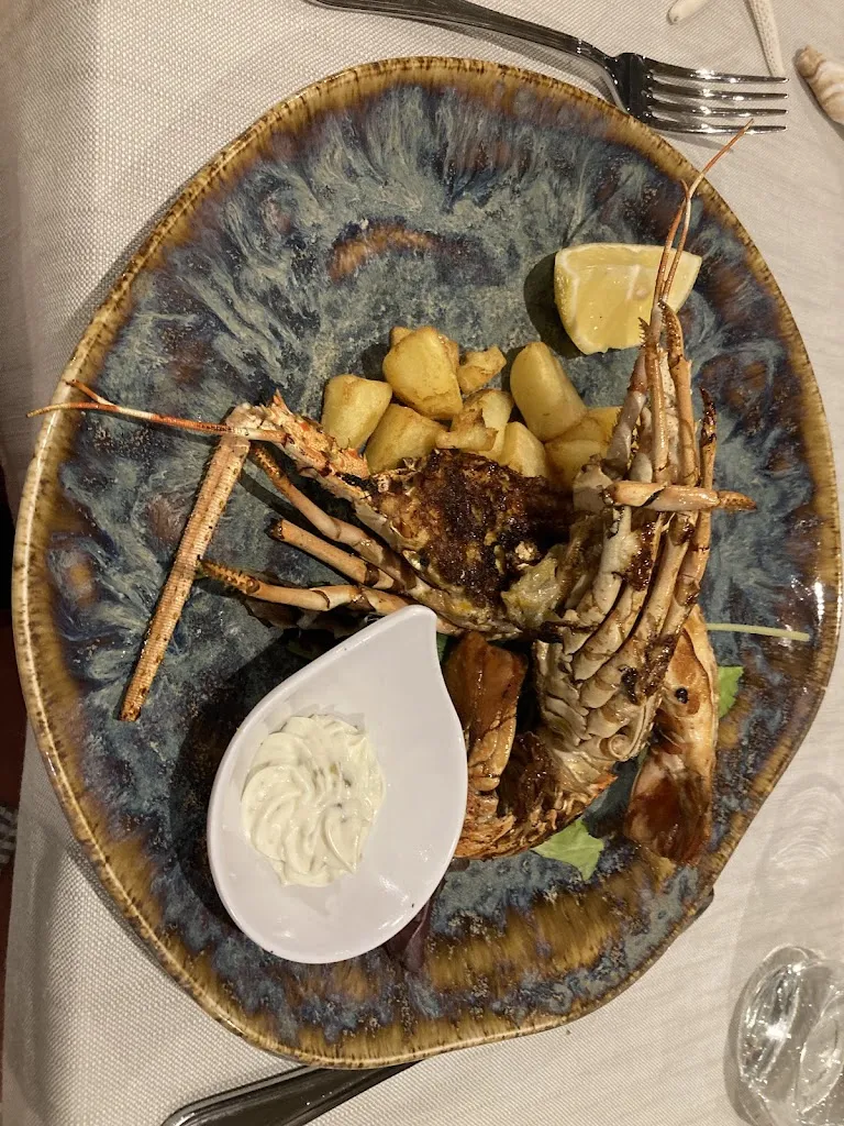 John Baines_Nautilus Sanremo_San Remo_review