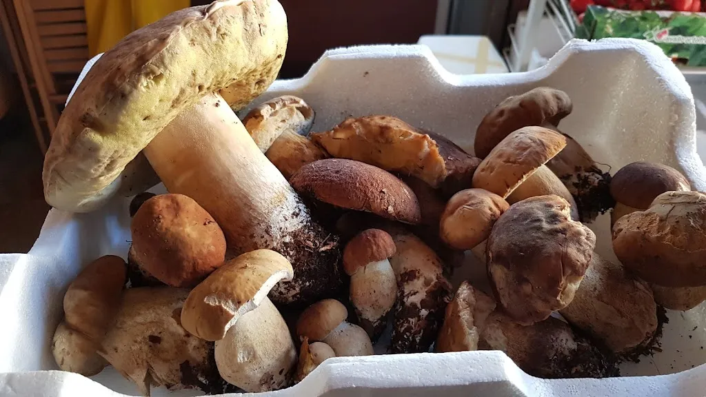 Menu_Palazzo Salsole_Sassello_image_8