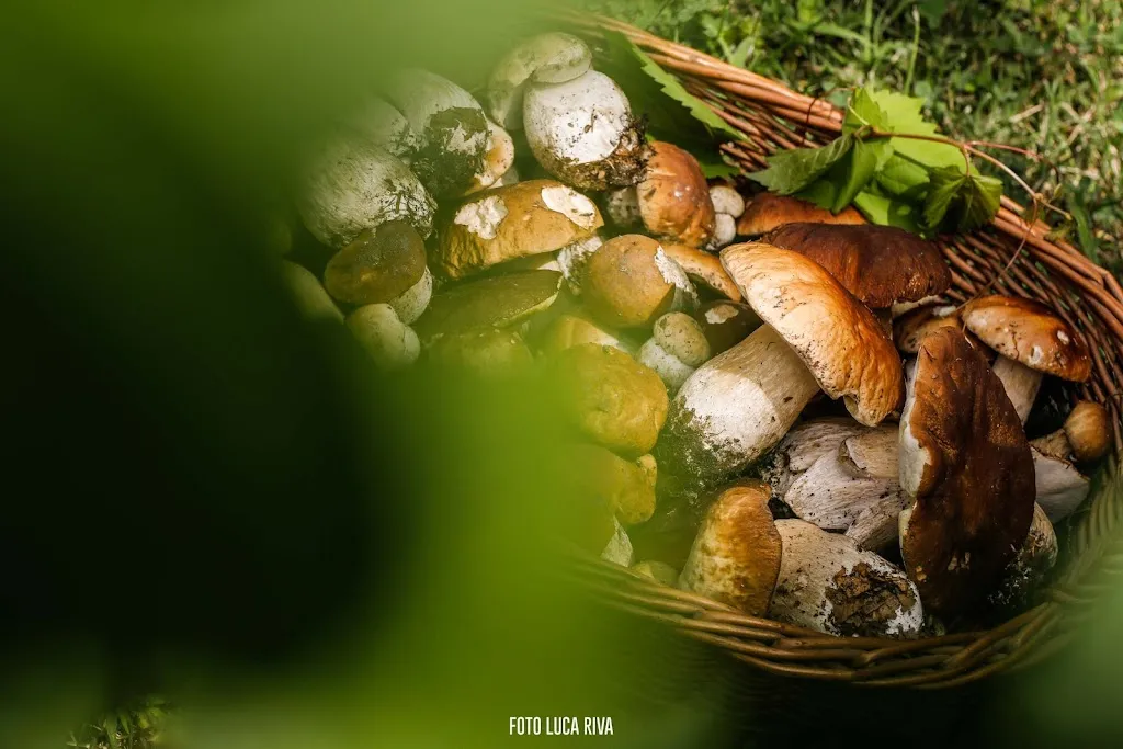 Beigua Docks_Sassello_slider_image_3