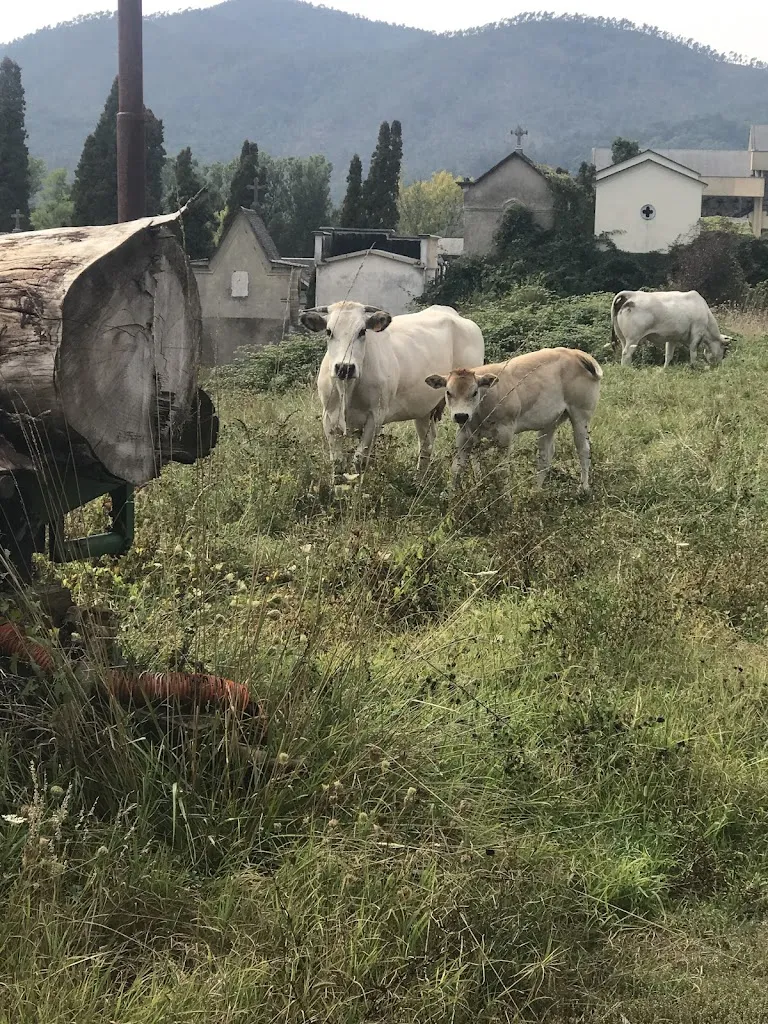 Justin Campbell_Agriturismo Ca' dei Brüsco_Sassello_review