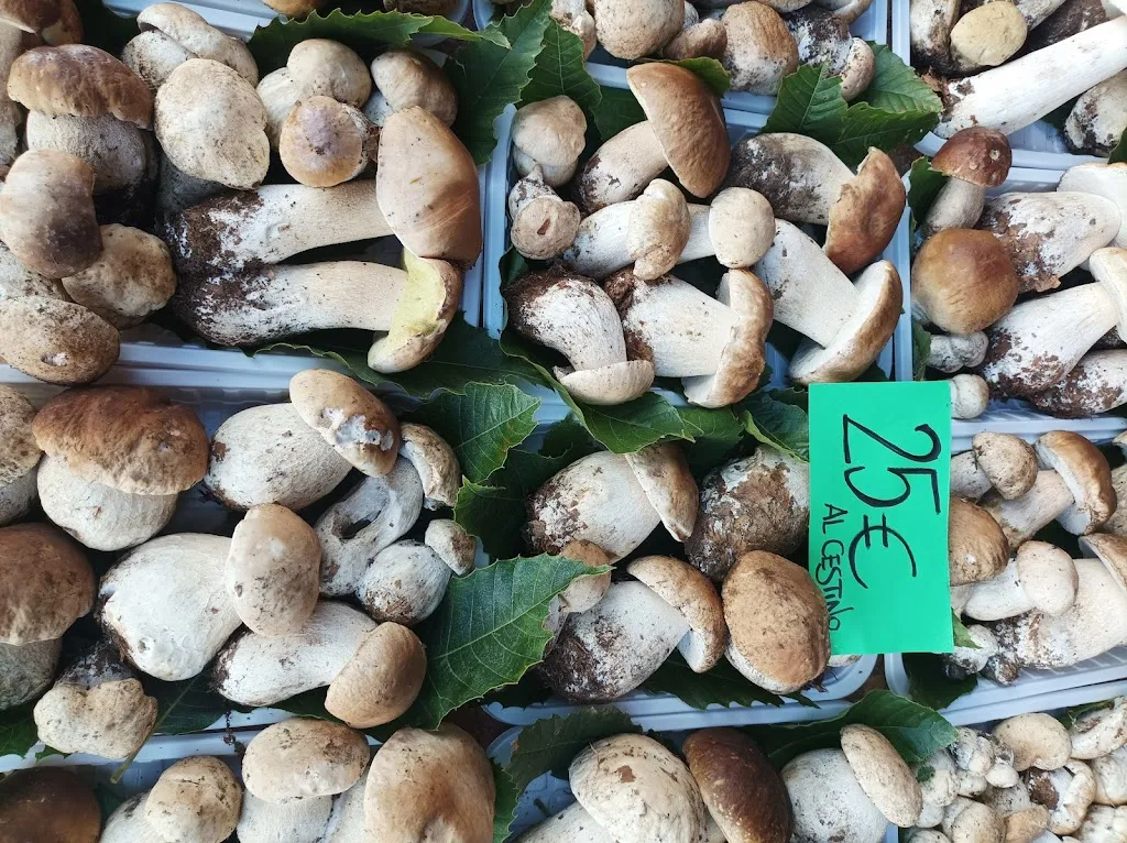 Menu_Bar jole snc_Sassello_image_9