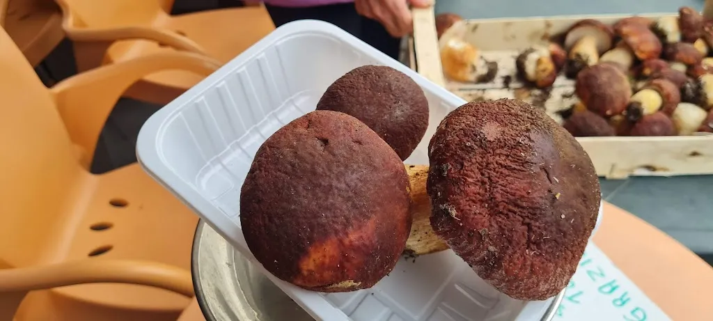 Menu_Macciò_Sassello_immagine_8