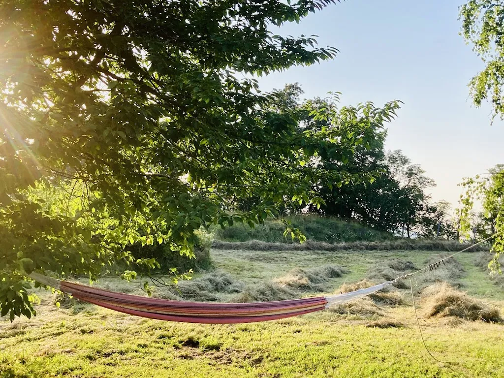 elena curti_La Sorba_Sassello_review