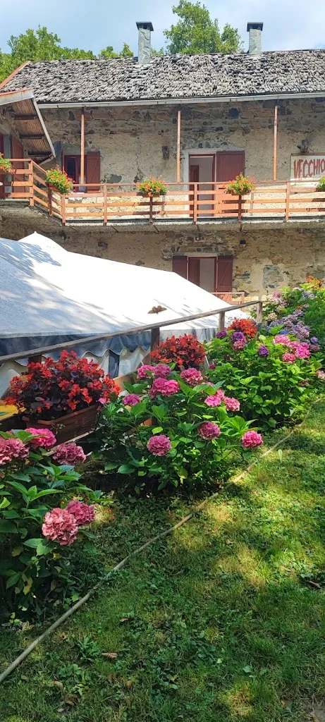 Marilena Pepe_Il Vecchio Mulino del Dano_Sassello_review