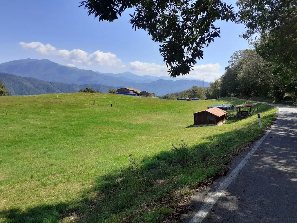 Vittoria del genoa_Ristorante Montemaggio_Savignone_review