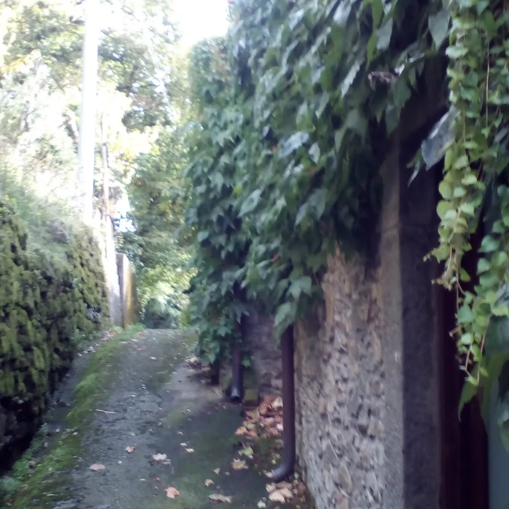 massimo freschi_Ristorante La Margherita Di Martinelli Francesca S.A.S._Sesta Godano_recensione