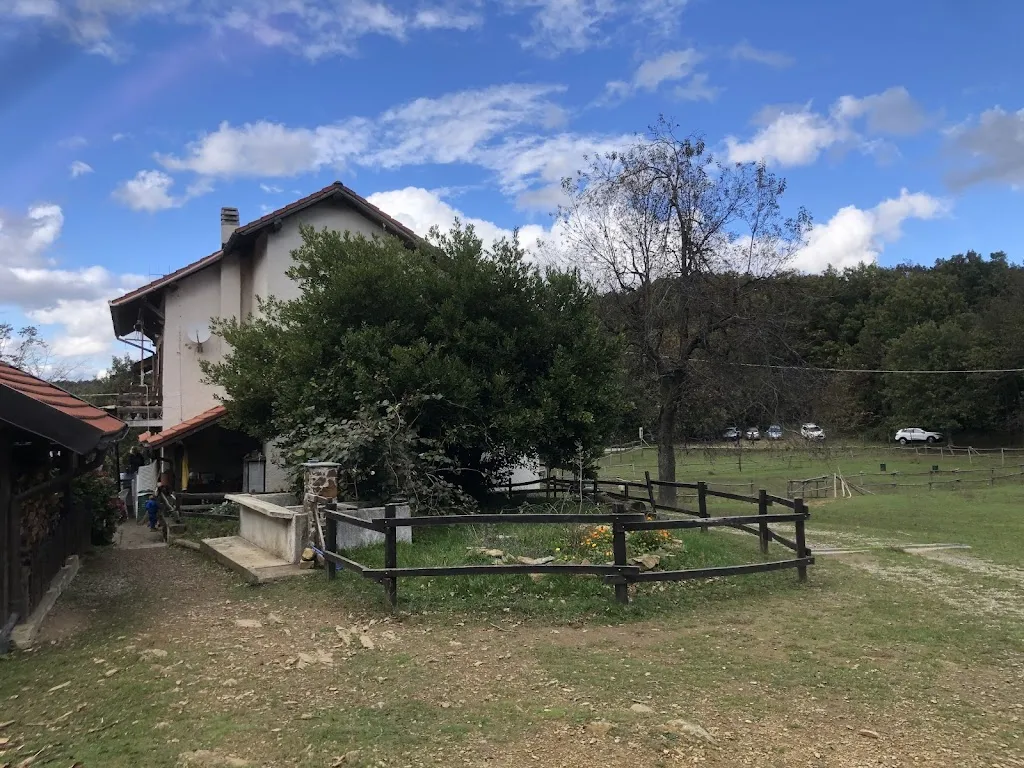 Massimino massi_La Fattoria nel bosco_Tiglieto_review