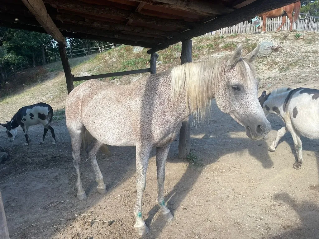 Stefano Monni_La Fattoria nel bosco_Tiglieto_review