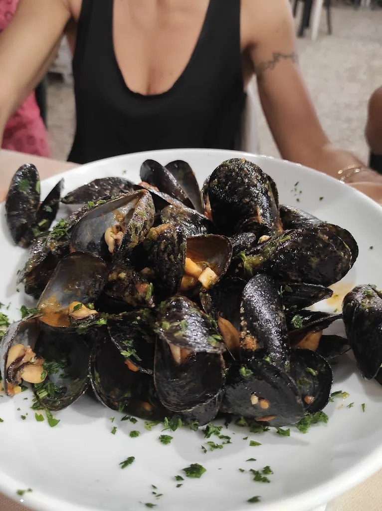 Elisabetta Tallarico_S.o.m.s. Pace e Lavoro_Valle di Vado_review