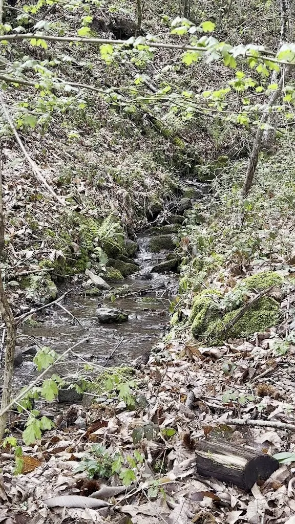 Alida Grimaldi_Agriturismo Risveglio Naturale - passare per varese ligure_Varese Ligure_review