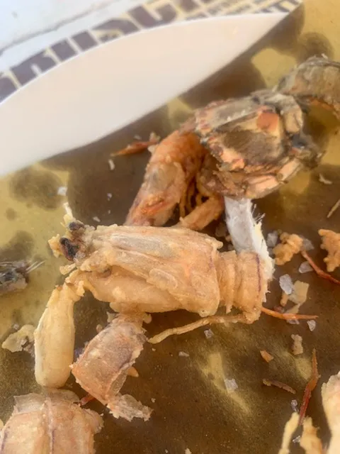 Menu_Ristorante Corallo_Vallecrosia_image_7