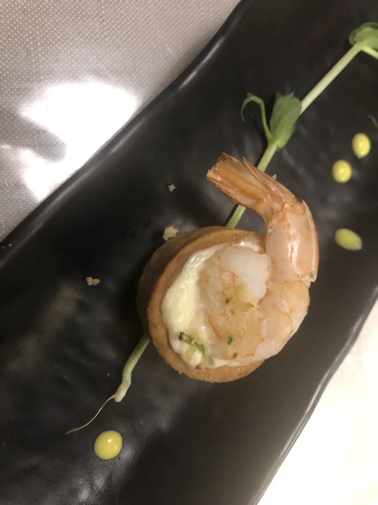 Armida Scott_La Balena Bianca_Vallecrosia_review