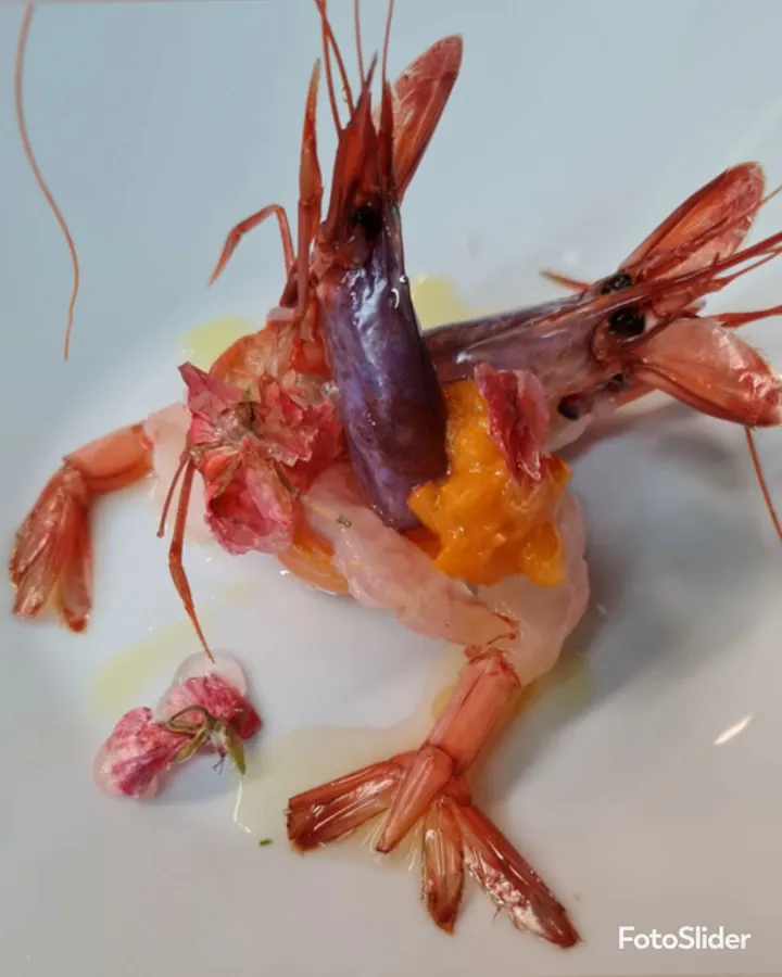 La Balena Bianca_Vallecrosia_slider_image_2