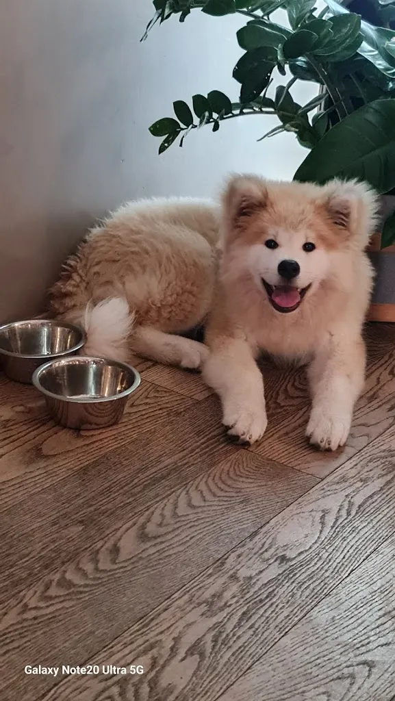 Carl Charlesworth_Biancolatte Bar Bistrot_Vallecrosia_review