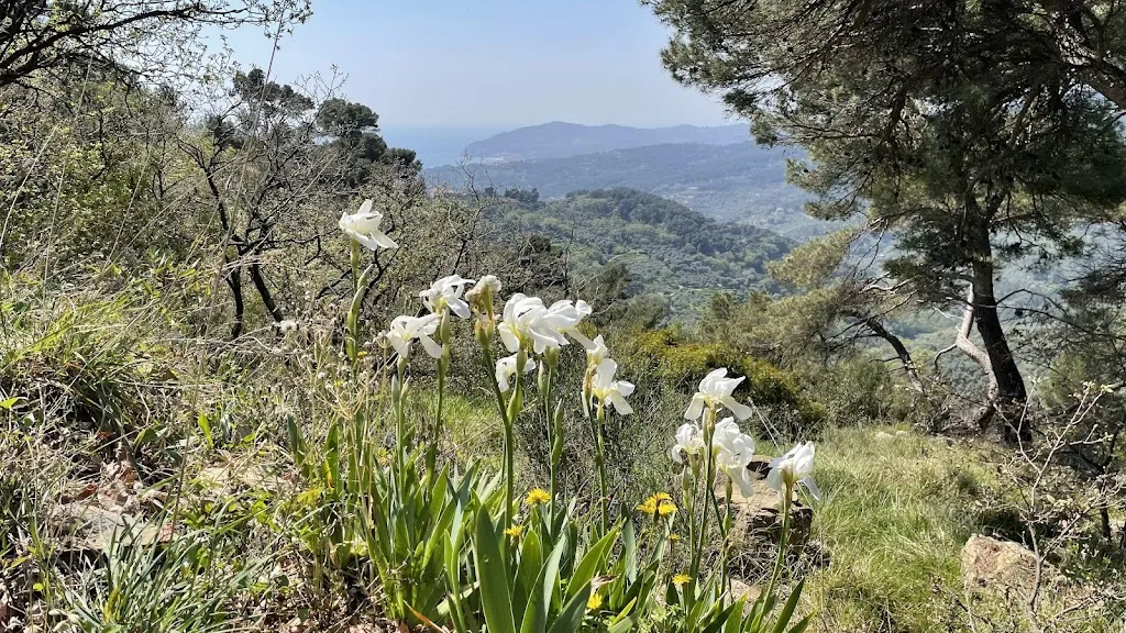 Dario Gambarini_Agriturismo Villa Faraldi_Villa Faraldi_review