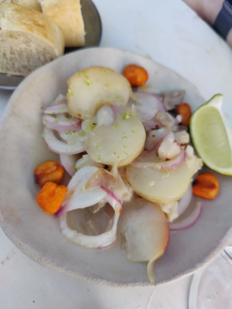 Oleksandr Korshun_La Pesa_Varazze_review