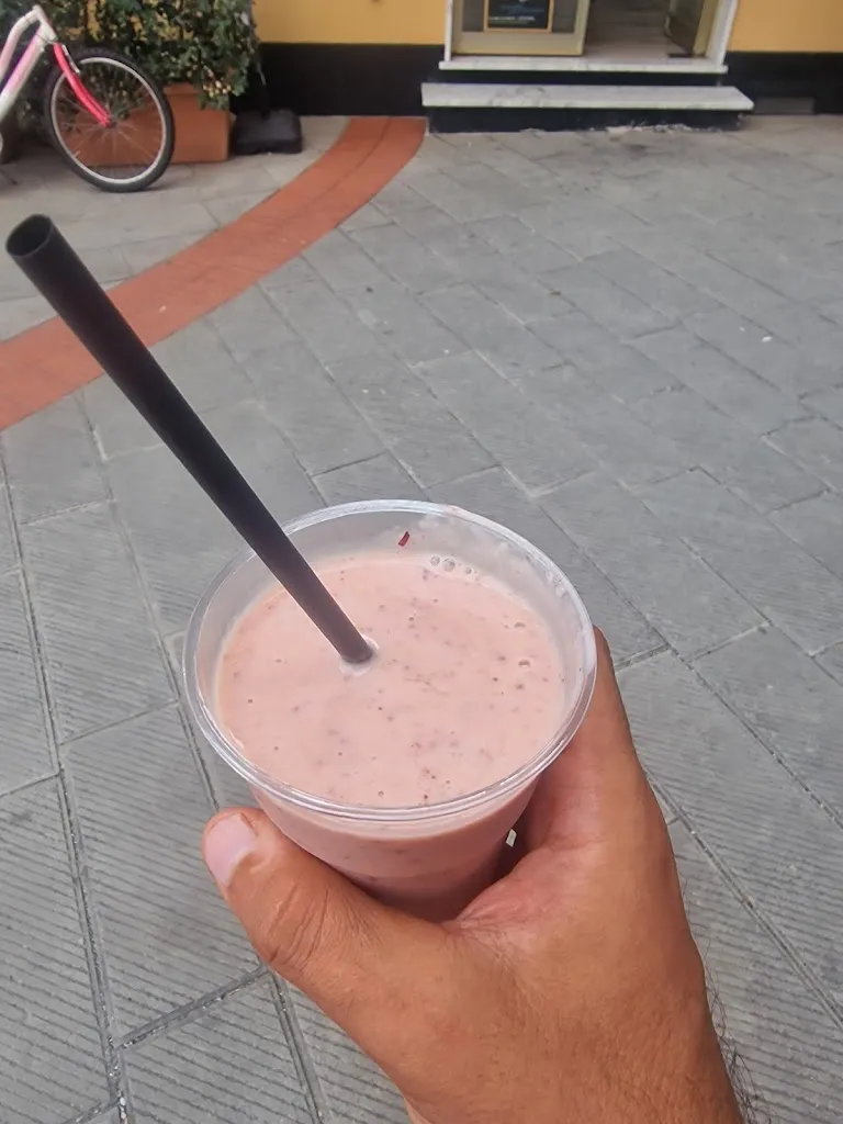 Alessandro Modolo_#Frullo Zoagli_Zoagli_review