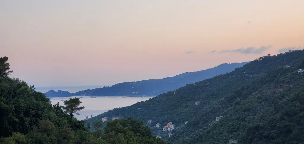 Asita Perera_Ristorante Cerisola_Zoagli_review