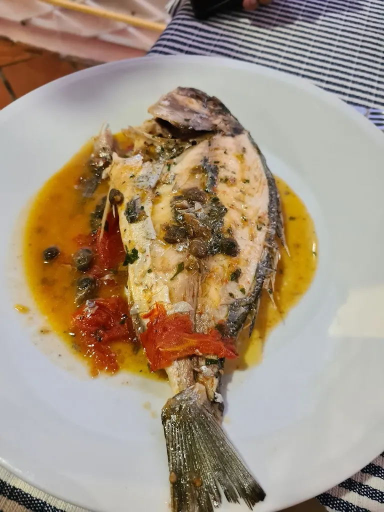 Liis-Marii Roosnupp_le vele_Acquafredda_review