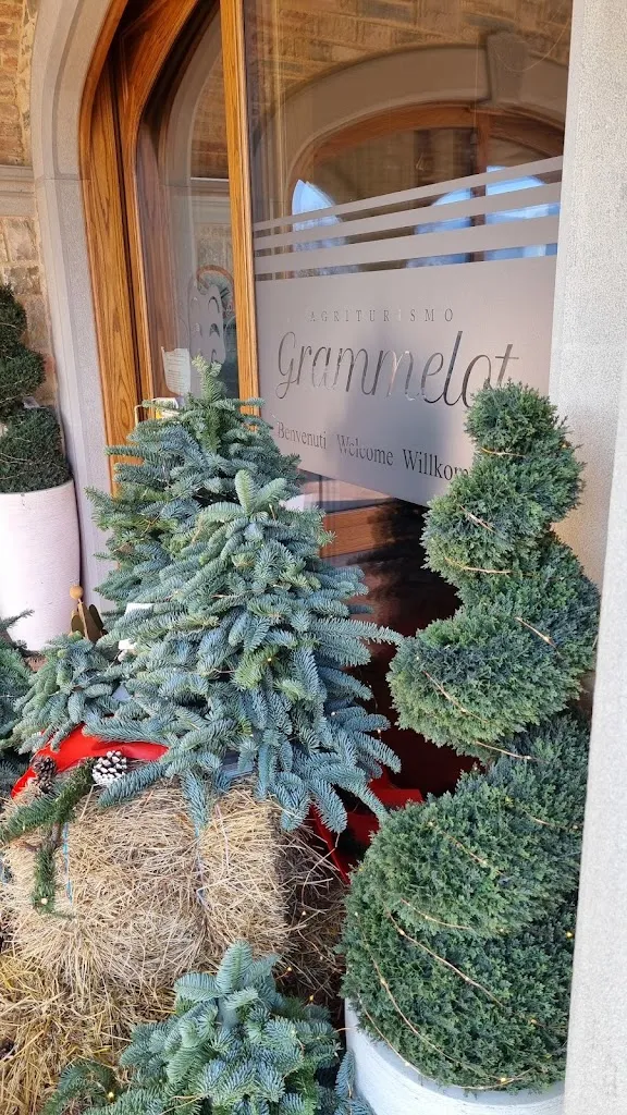 R. G._Ristorante @ Agriturismo Grammelot_Adrara San Martino_review