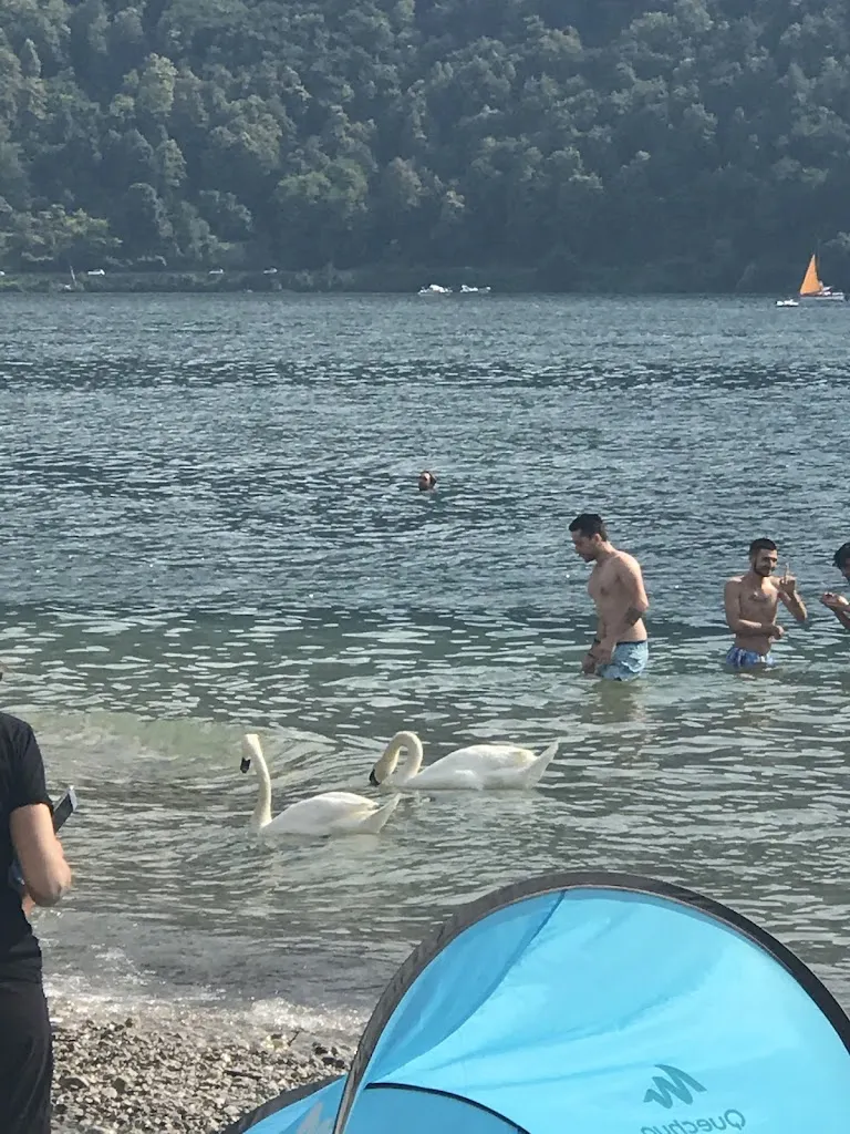 Sog Kh_Spiaggia Camping Abbadia Lariana_Abbadia Lariana_review