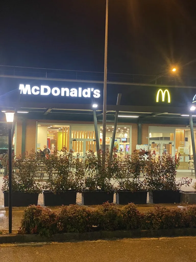 Mike Žlutomil_McDonald's_Abbiategrasso_review