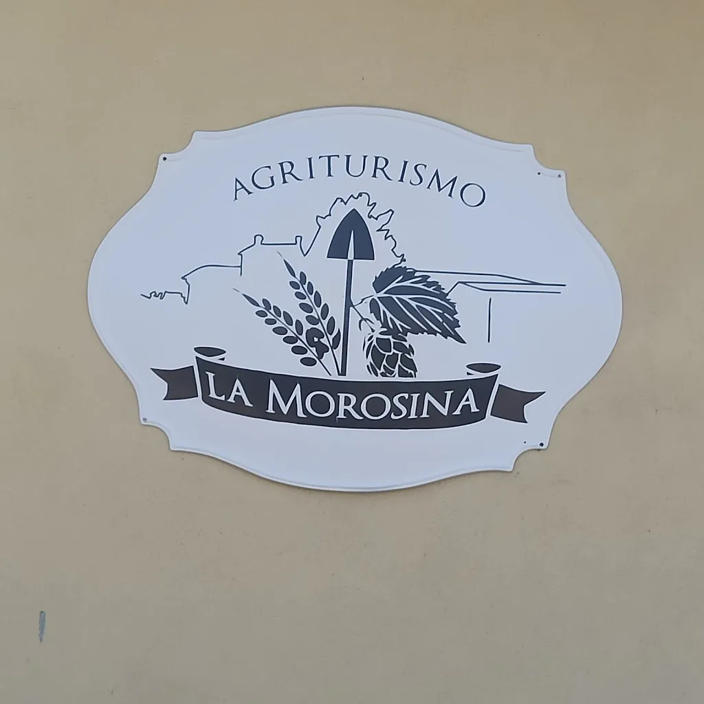 Davide Ragazzoni_Morosina - Birrificio Agricolo_Abbiategrasso_review