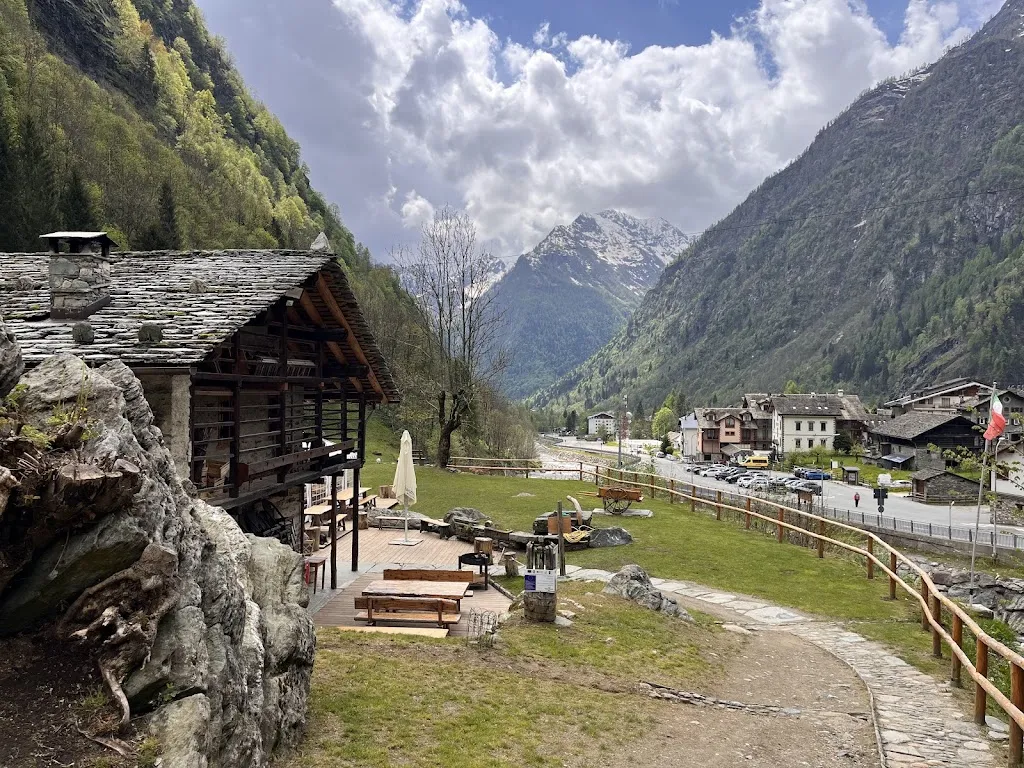 Jump NYC_Zam Tachji_Alagna_review