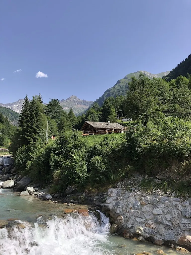 Siegfried B_Zam Tachji_Alagna_review