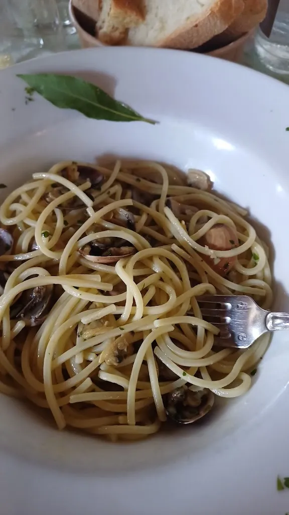 Dana Tasca_At the hunter_Albaredo_review