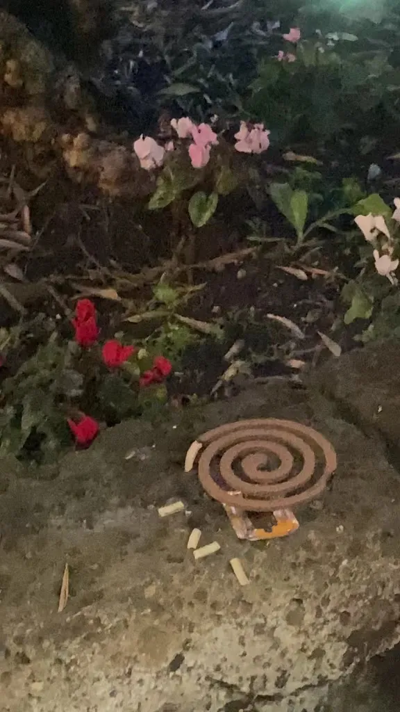 L'Ulivo Drink & Cucina Mediterranea_Albano Sant'Alessandro_slider_image_2