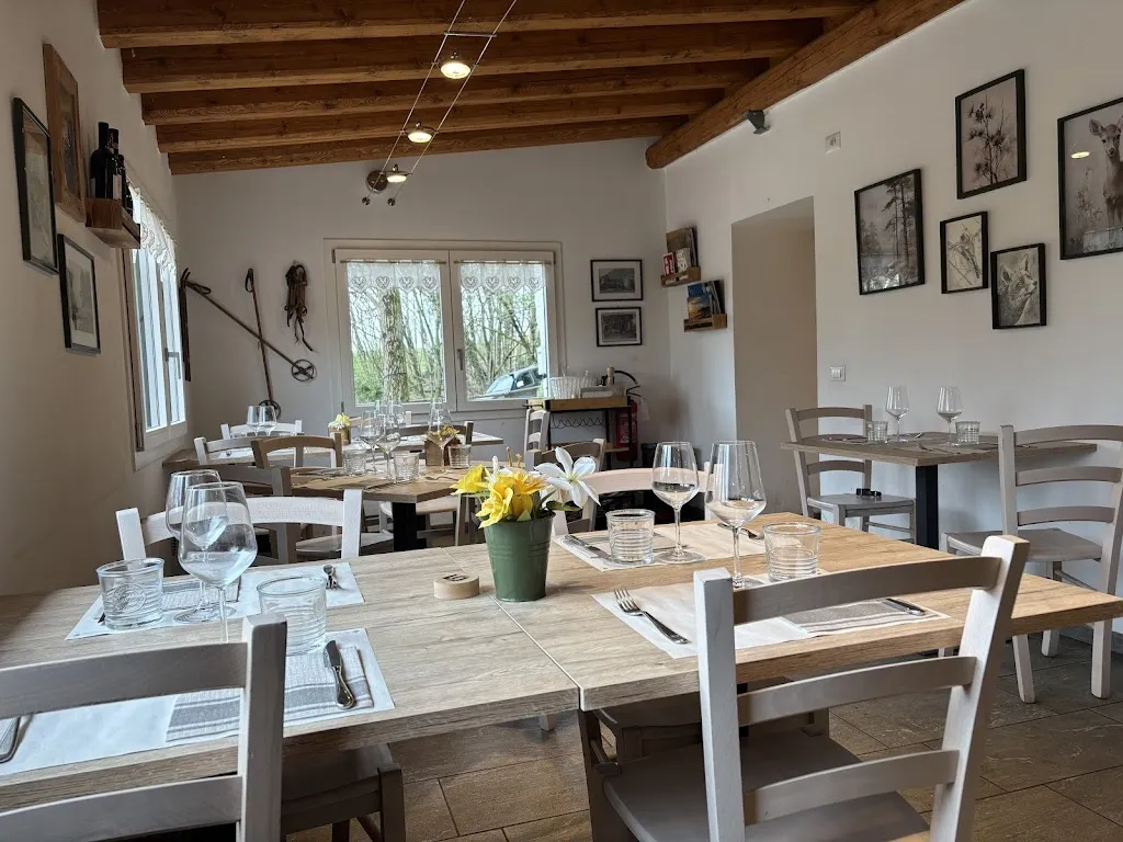 Jakob Berry_Baita Patrizi_Albavilla_review