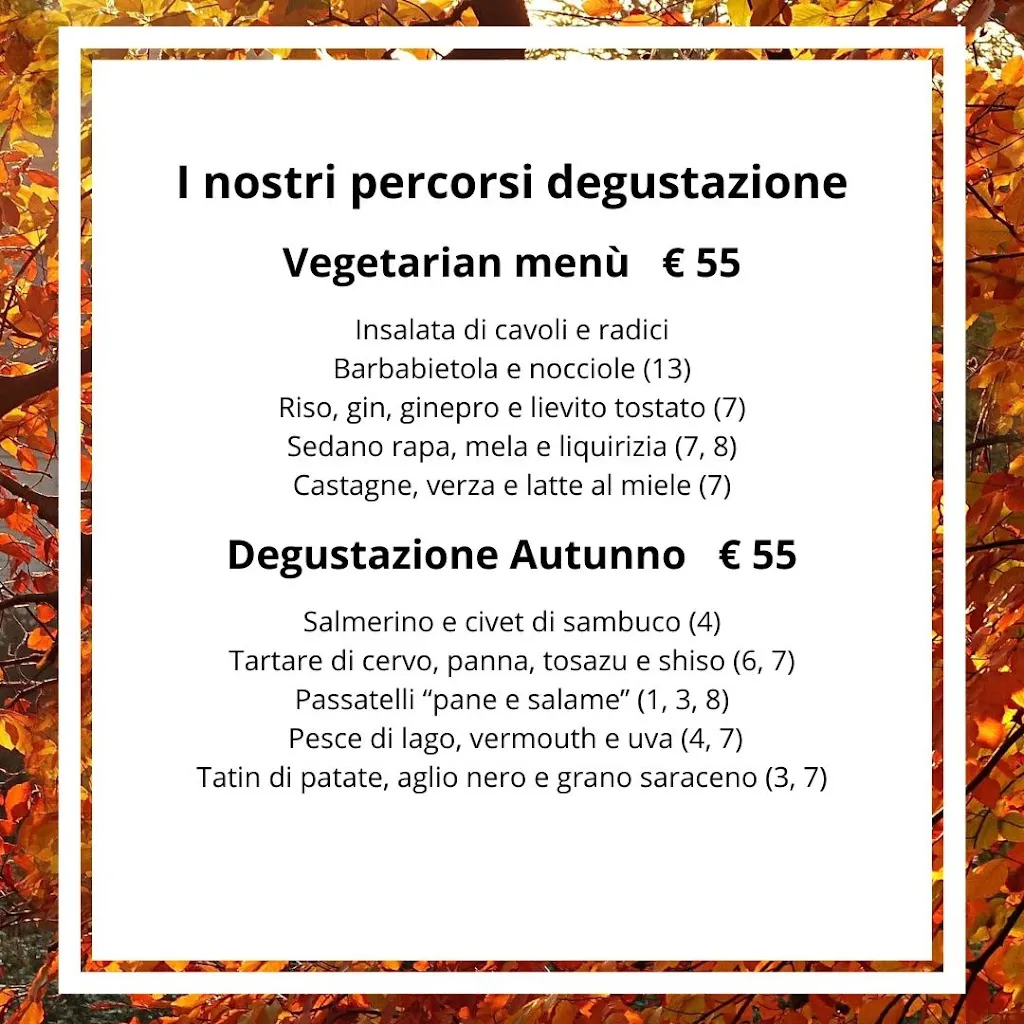 Menu_Ristorante Ca' Mia_Albavilla_image_2