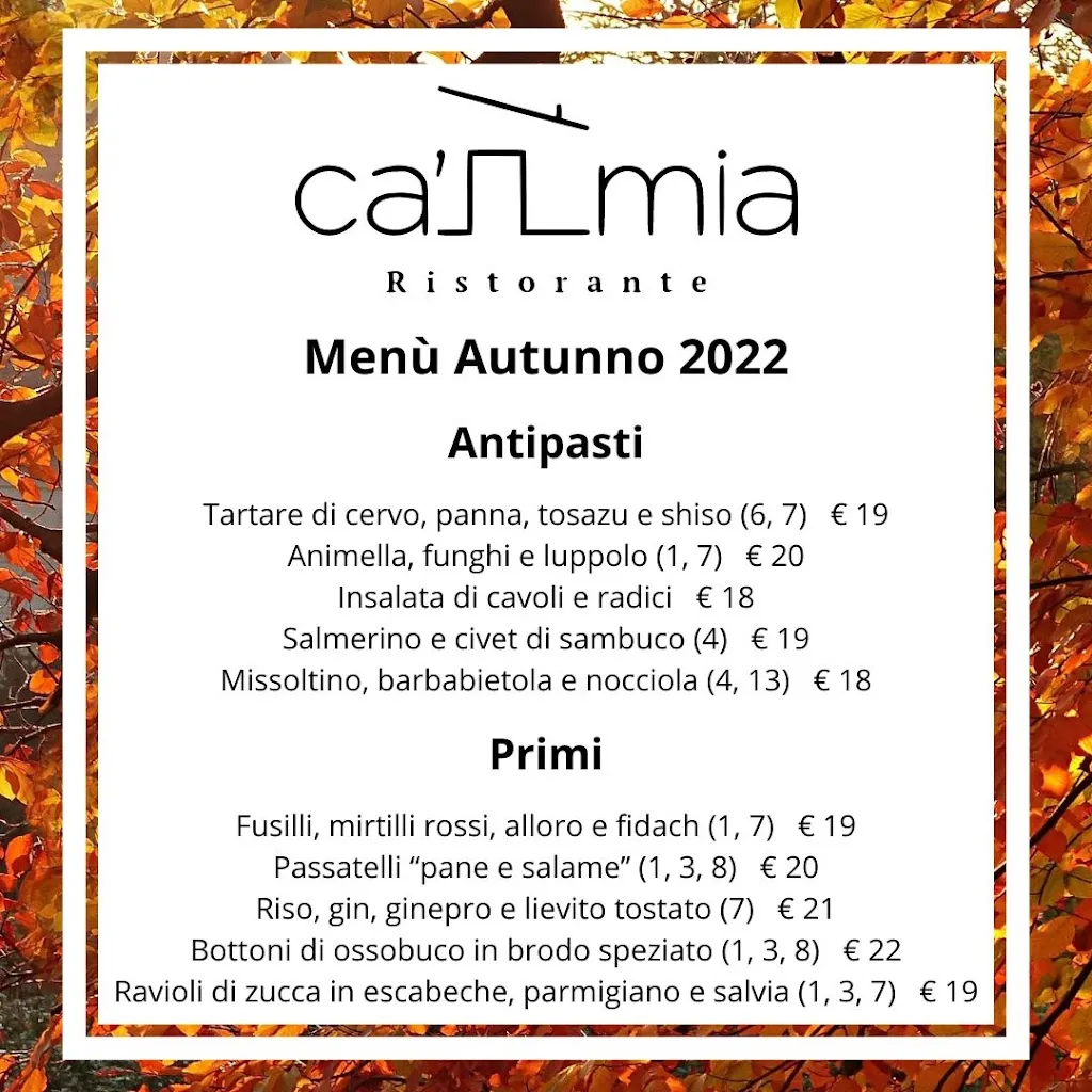 Menu_Ristorante Ca' Mia_Albavilla_image_3