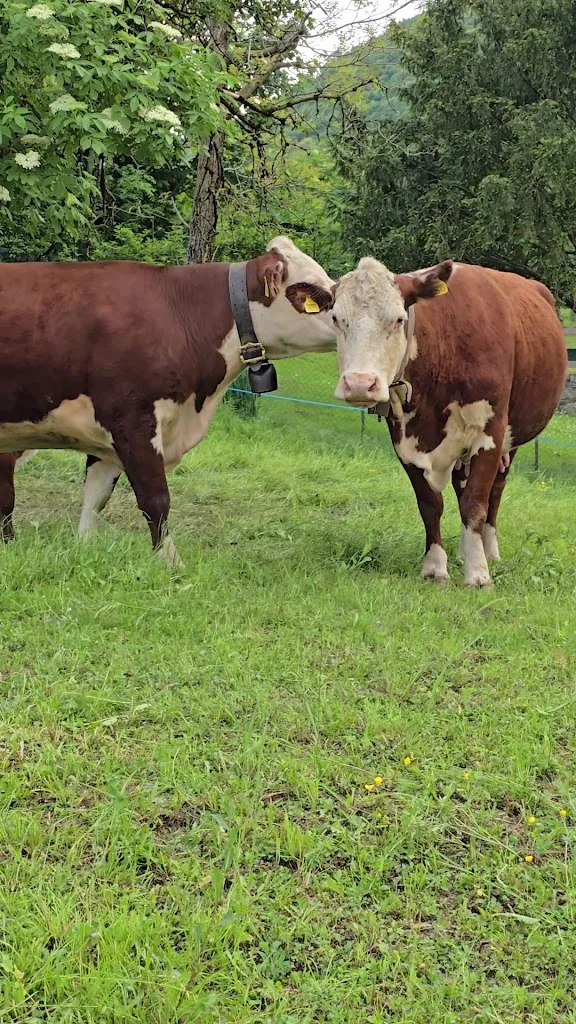 Trattoria dal Corla_Albino_slider_image_2