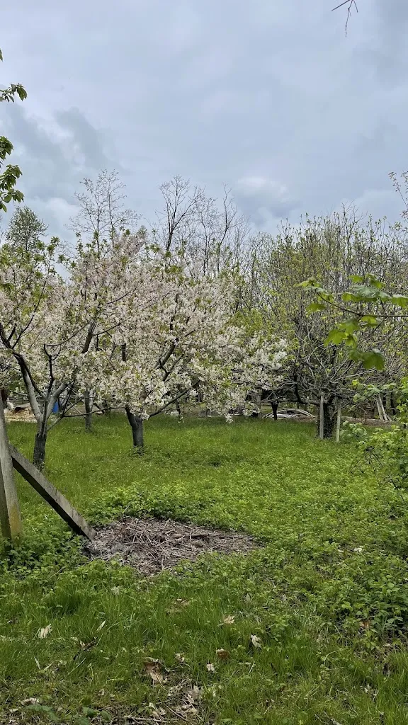 Saltina Balvani_Ristorante Giubì_Almenno San Bartolomeo_review