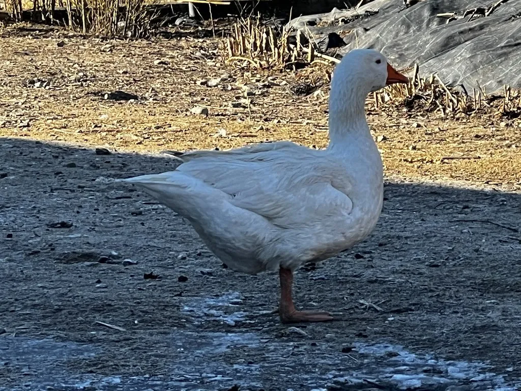 Ying Wang_Agriturismo Terra del Sole_Albosaggia_review