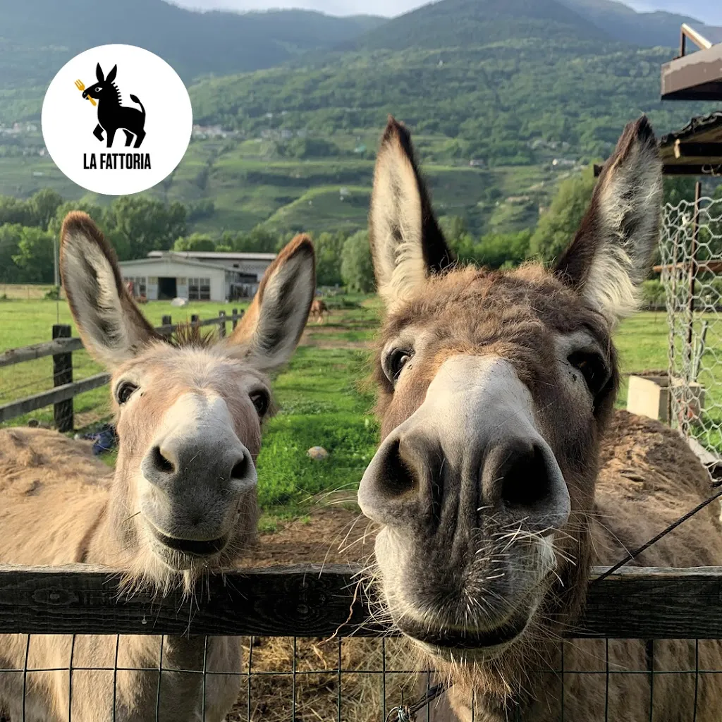 Agriturismo La Fattoria_Albosaggia_slider_image_3