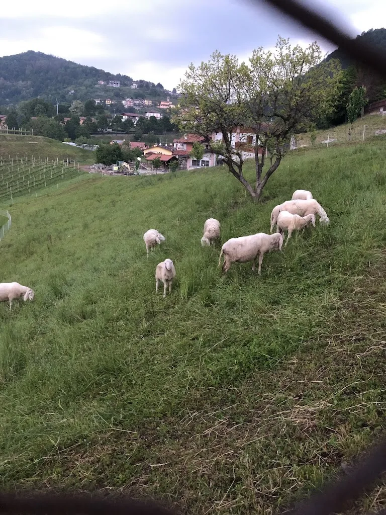 Siyi Ma_Ca' Noa - Ca' Bianca - Chef A.Di giacomo_Almè_review