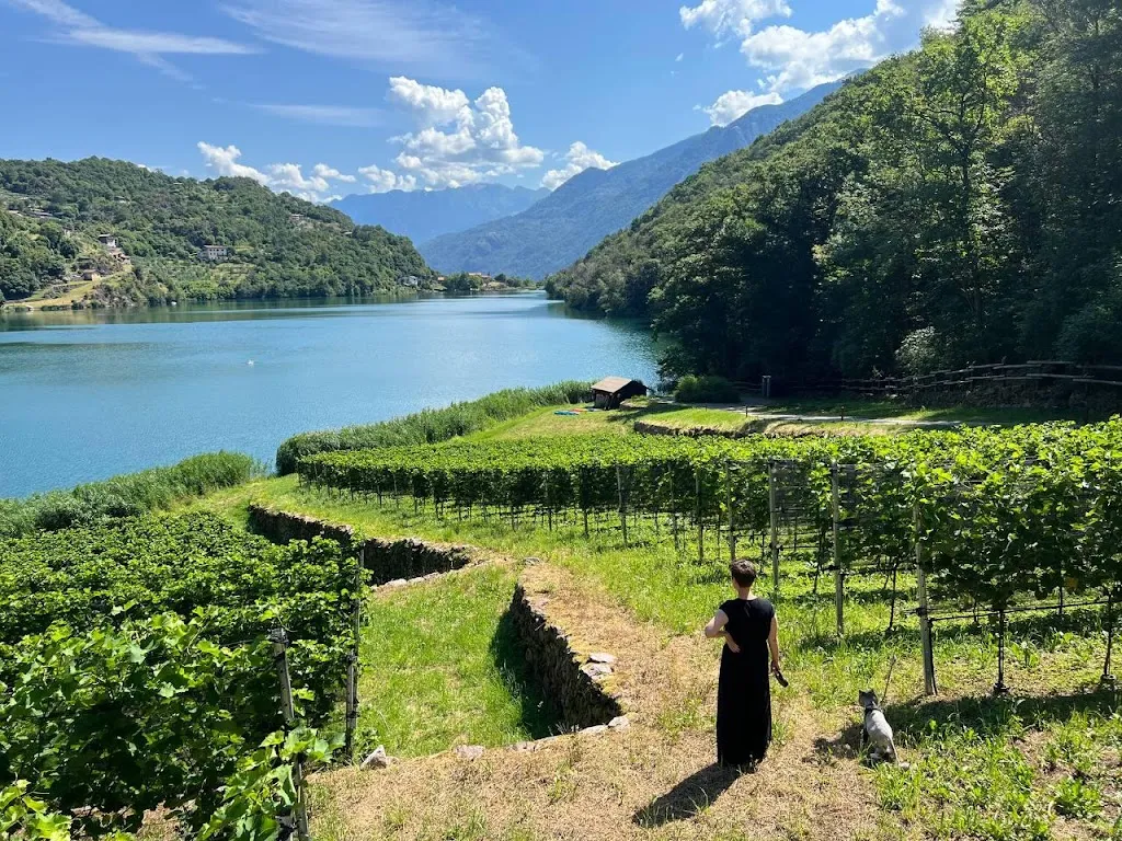 mari greenzelen_Agriturismo Scraleca_Angolo Terme_review