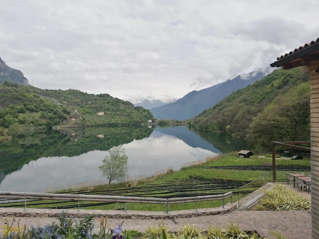 Antonella Pitronaci_Agriturismo Scraleca_Angolo Terme_review