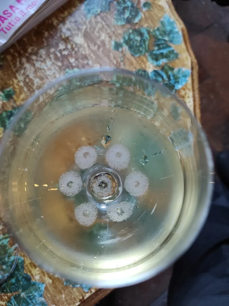 Menu_Osteria Contini_Angolo Terme_immagine_8