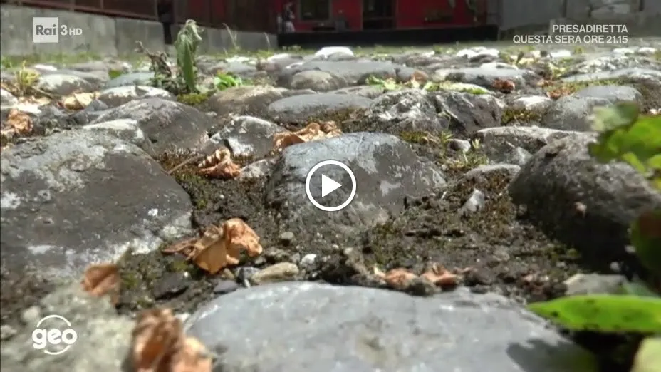 Al Tagliere di Nese_Alzano Lombardo_slider_image_2