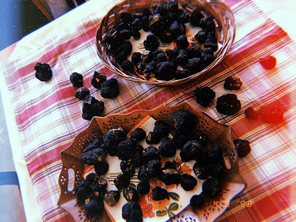 Menu_Ristorante La Vecchia Fonte_Campo di Giove_image_8